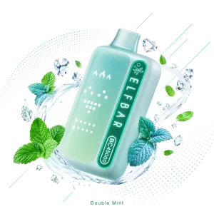 Elfbar BC45000 Double Mint disposable vape
