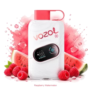 Vozol Click Raspberry Watermelon disposable vape