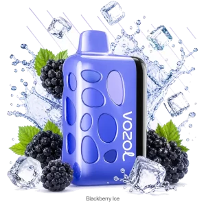 Vozol Rave 40000 Blackberry Ice disposable vape