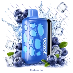 Vozol Rave 40000 Blueberry Ice disposable vape