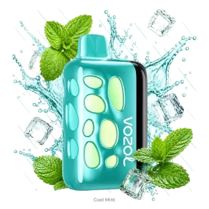 Vozol Rave 40000 Cool Mint disposable vape