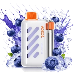 Vozol Vista 40000 Blueberry Ice disposable vape