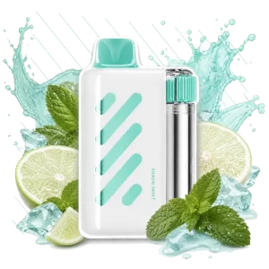 Vozol Vista 40000 Miami Mint disposable vape